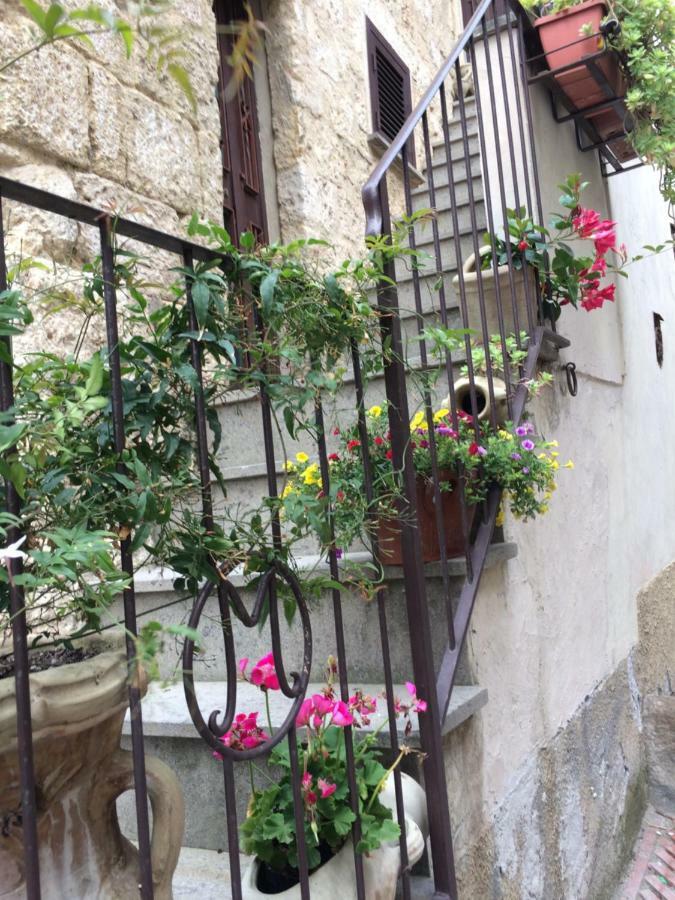 Casetta Di San Martino 塔尔奎尼亚 外观 照片